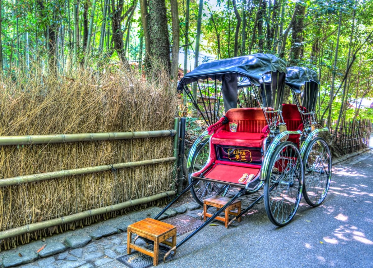 Kyoto and Nara Bus Tour