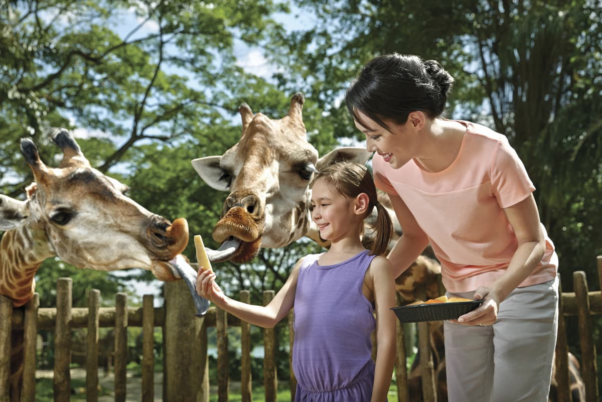 Go City Singapore Explorer Pass: Save up to 50% on Attractions