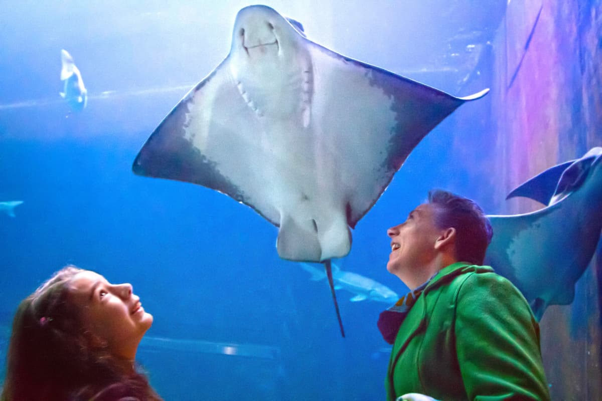 Go City San Francisco Explorer Pass: Save up to 50% on Attractions