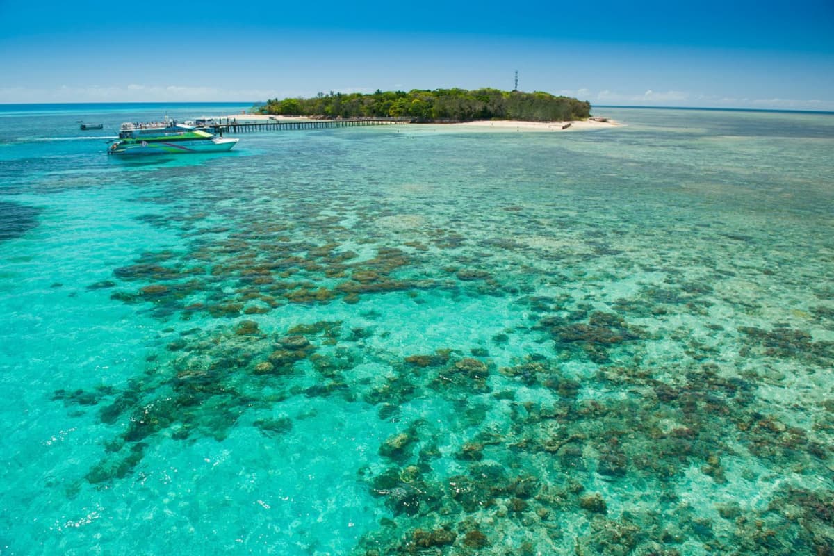 Green Island Reef Full-Day Cruise