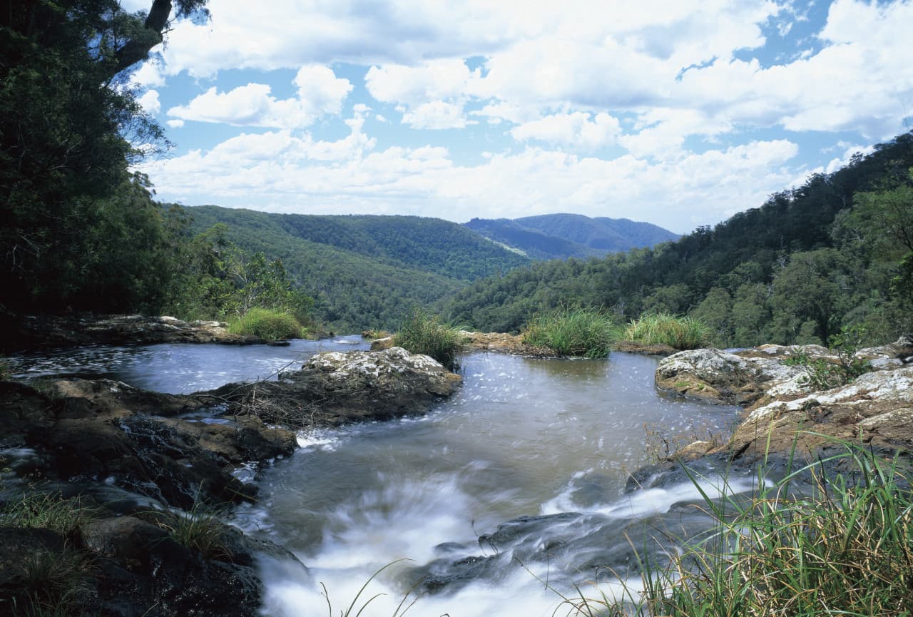 Full day Springbrook and Tamborine Rainforest Tour – photo 4