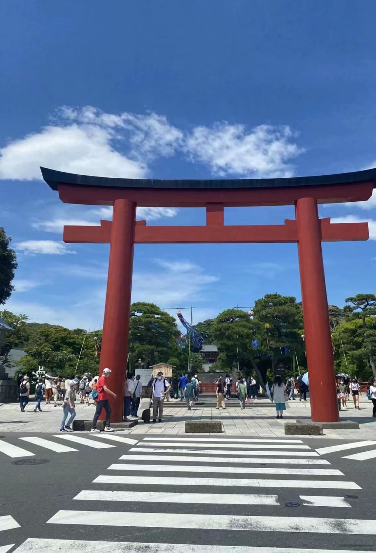 Kotoku-in Temple and Enoshima Day Tour from Tokyo