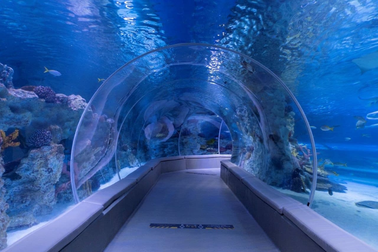 Emaar Aquarium and Underwater Zoo Ticket – photo 2