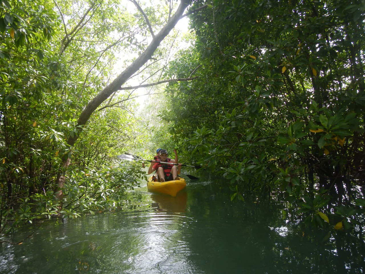 Pulau Ubin Kayaking – photo 4
