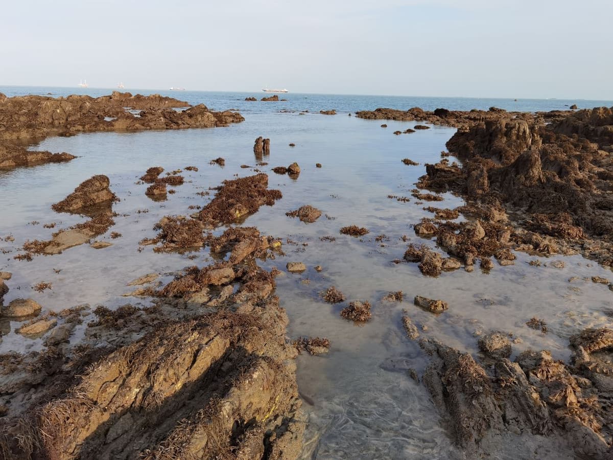 Desaru Beach and Tide Pool Walk