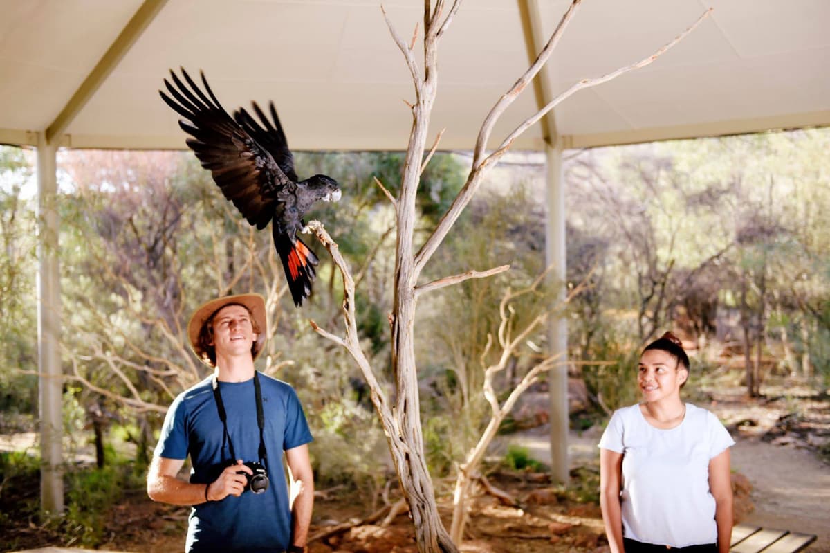 Alice Springs Desert Park