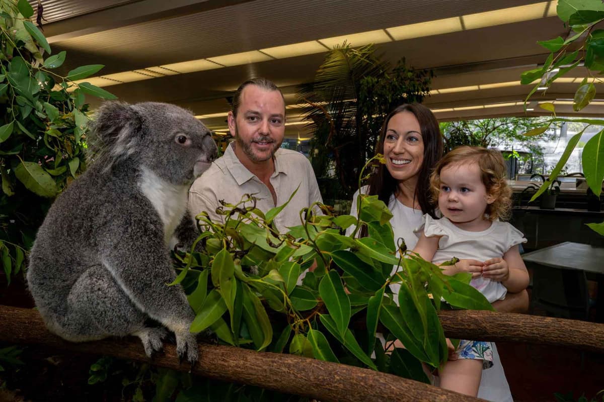 Wildlife Habitat Port Douglas Ticket