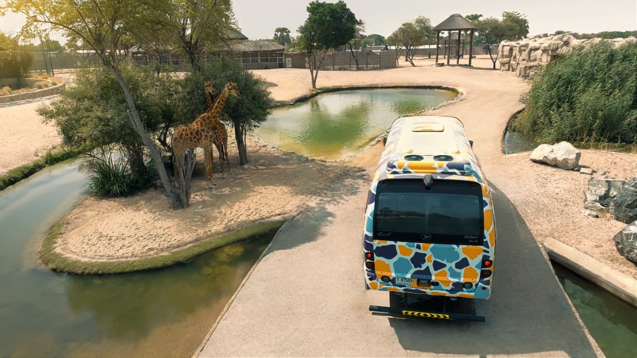 Dubai Safari Park Ticket – photo 28