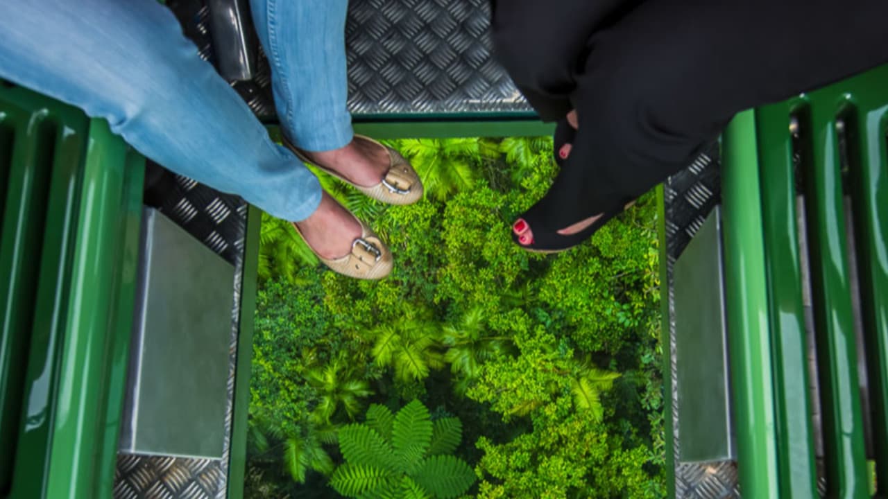 Skyrail Rainforest Cableway with Optional Kuranda Scenic Train Ticket and Hotel Pick-Up