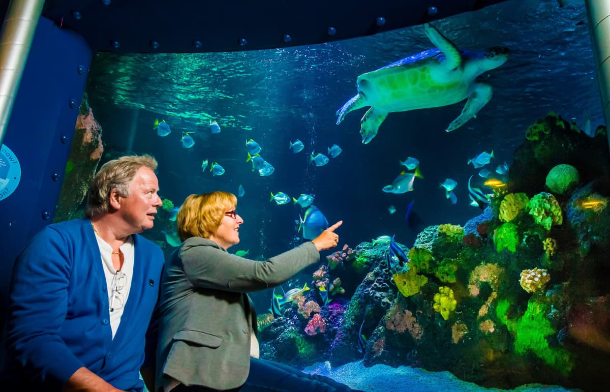 SEA LIFE Timmendorfer Strand Aquarium Ticket