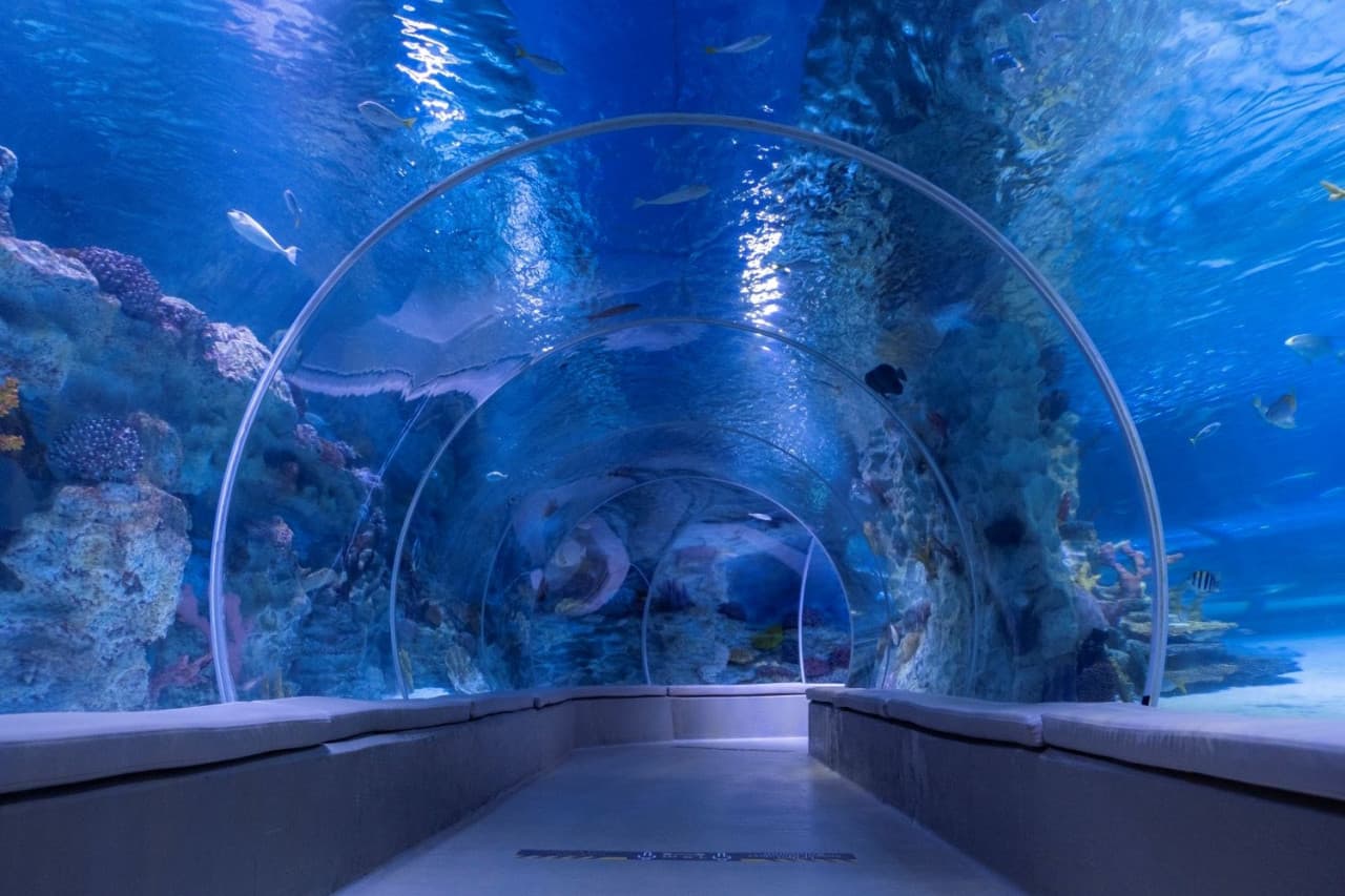 Emaar Aquarium and Underwater Zoo Ticket – photo 5
