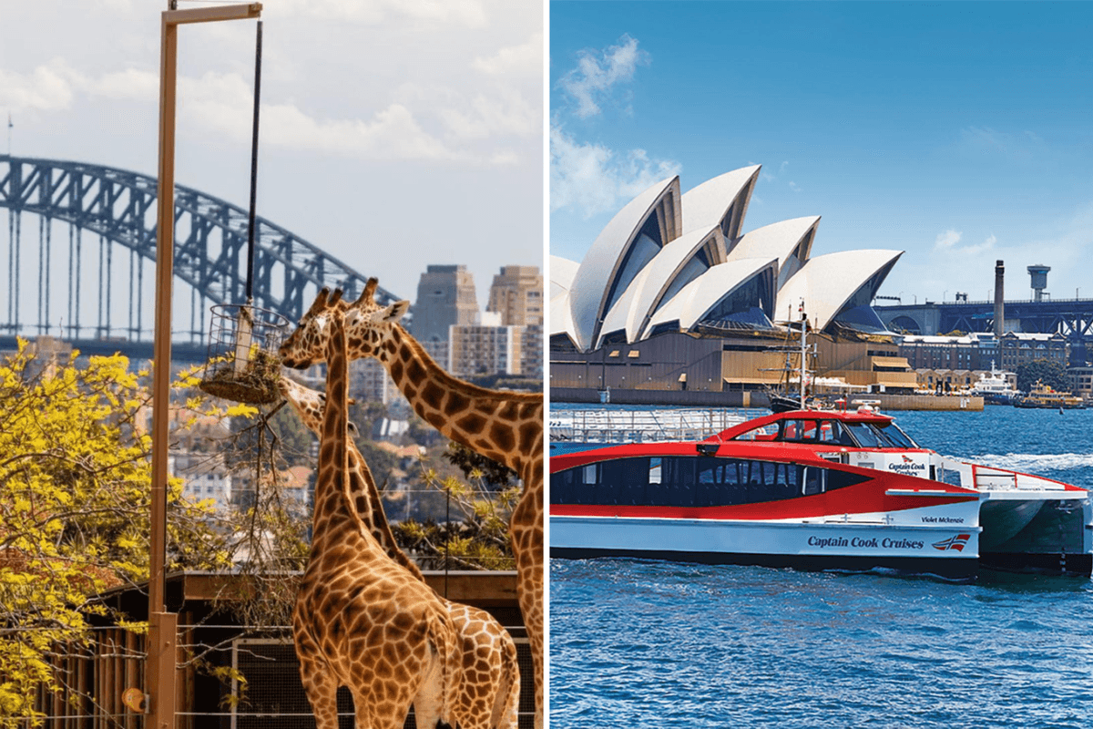 Taronga Zoo Ticket with Optional Round Trip Ferry