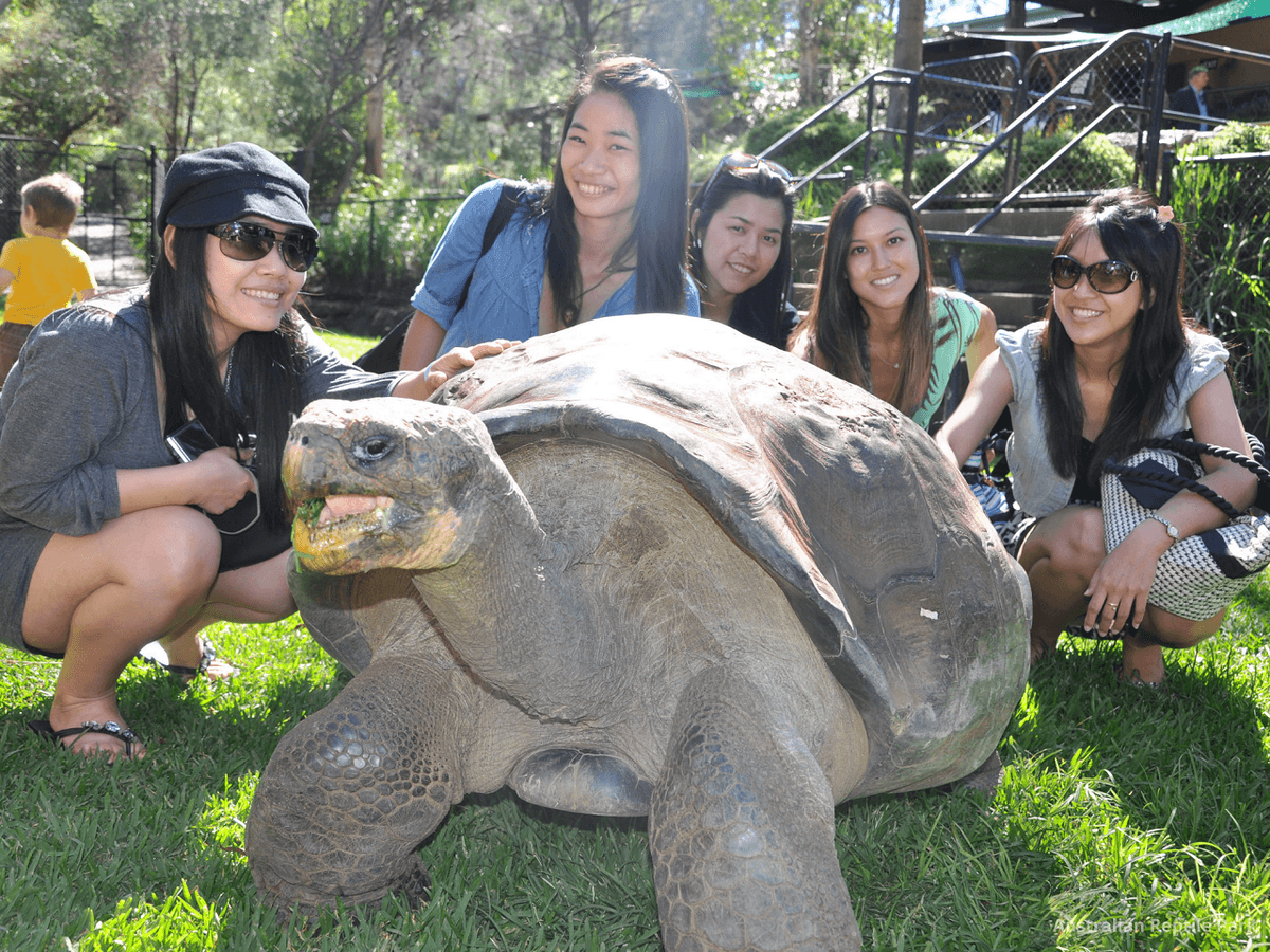 Australian Reptile Park