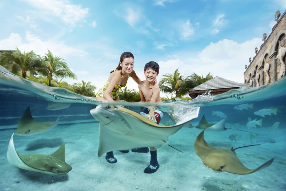 Adventure Cove Waterpark‎ Express Pass