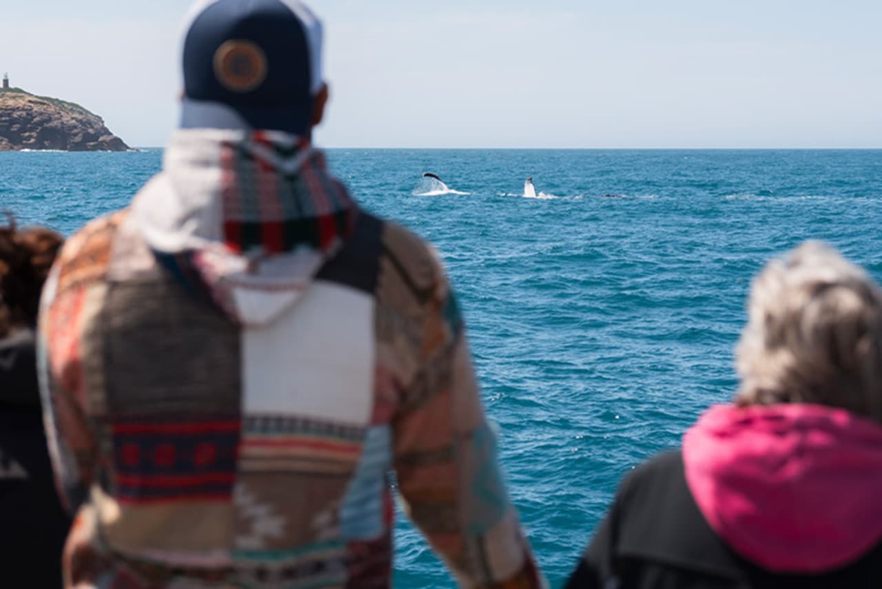 Wilsons Promontory Whale Watching Sightseeing Cruise – photo 6