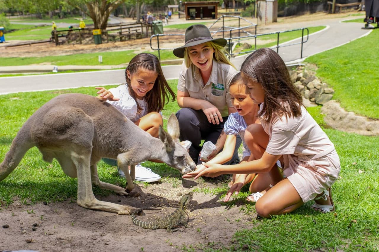 Currumbin Wildlife Sanctuary Ticket – photo 3