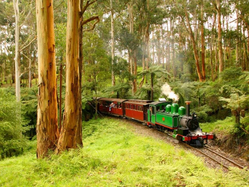 Puffing Billy Tour From Melbourne