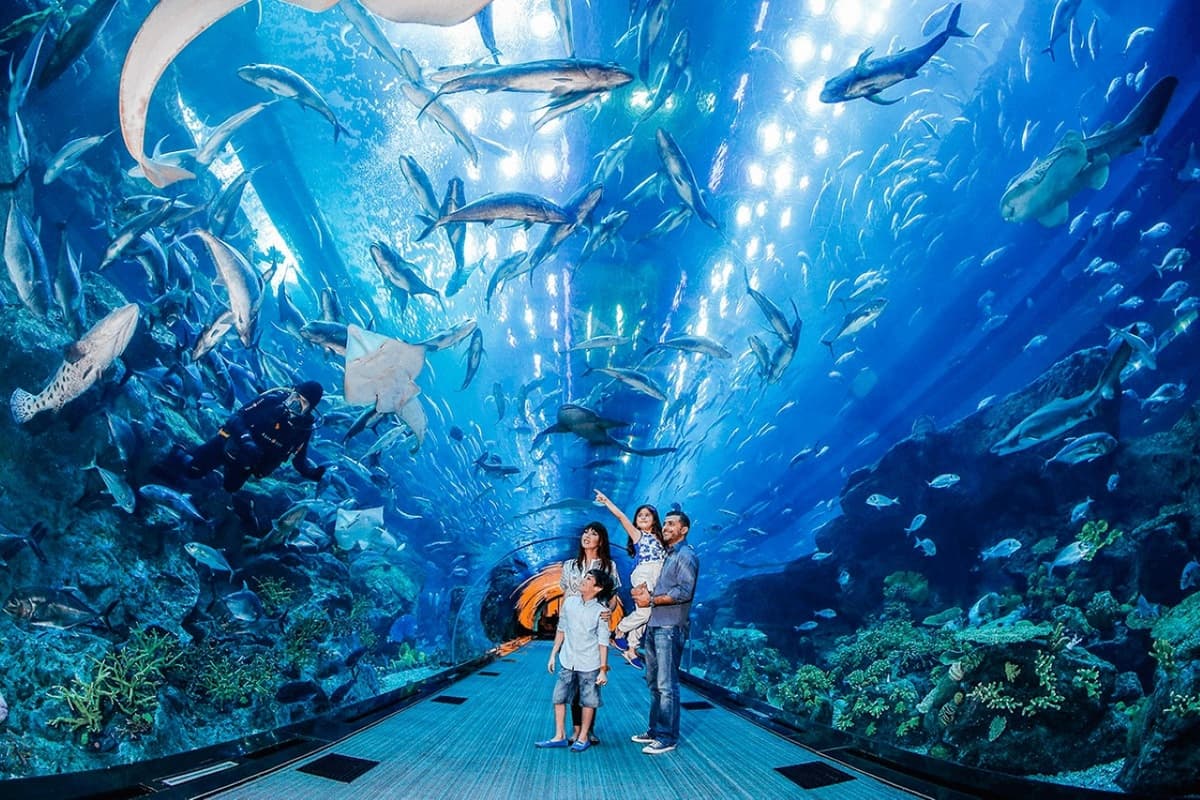 Go City Dubai Highlights Pass: Save up to 50% on Attractions