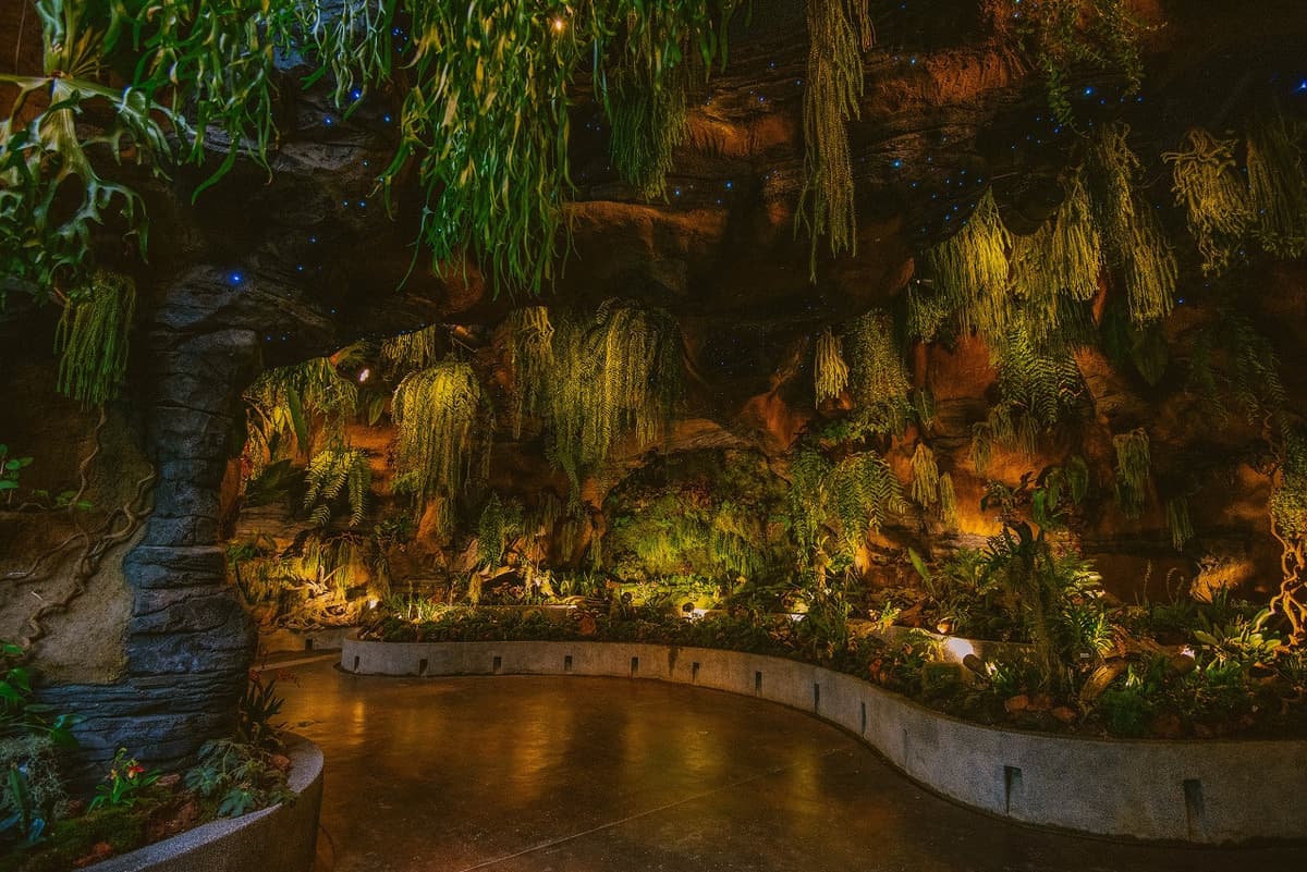 COMBO: Gardens by the Bay - Floral Fantasy + National Orchid Garden