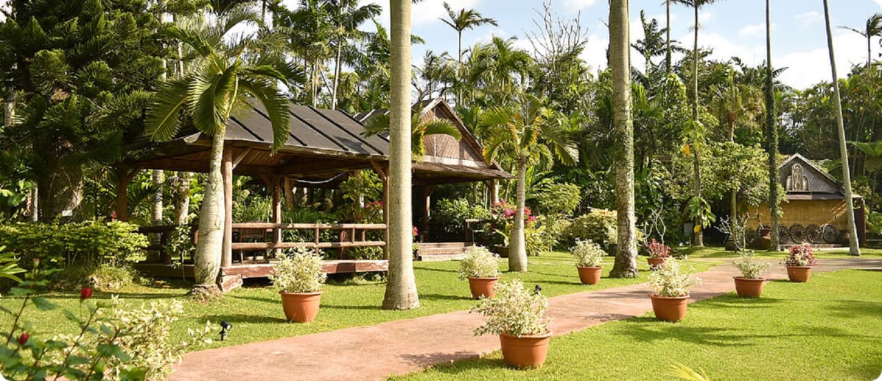 Okinawa Southeast Botanical Gardens – photo 14