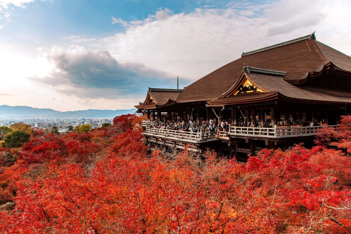 Kyoto and Nara Full-Day Tour from Osaka: Kiyomizudera Area, Fushimi Inari Taisha, Nara Park