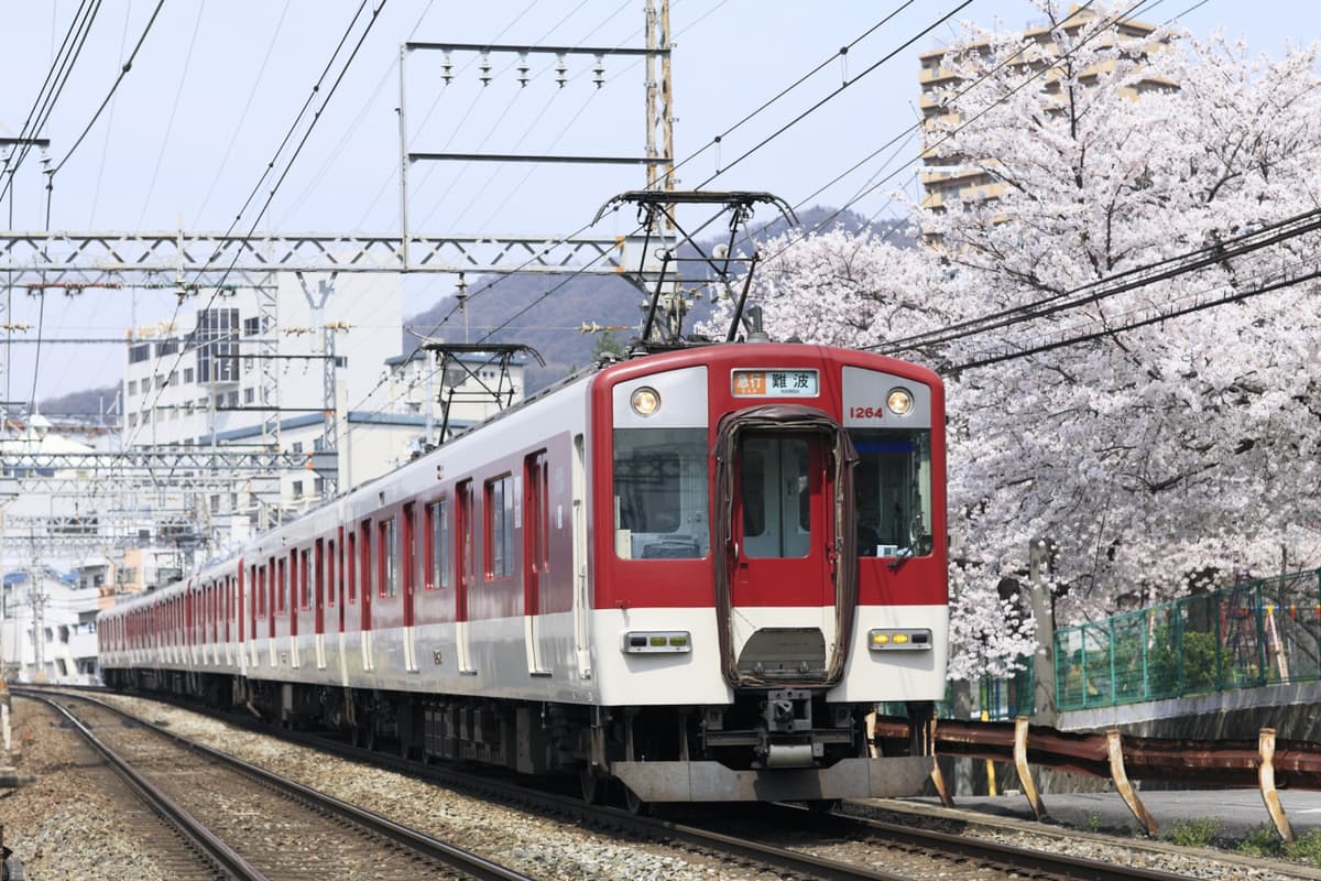 Kansai Railway Pass