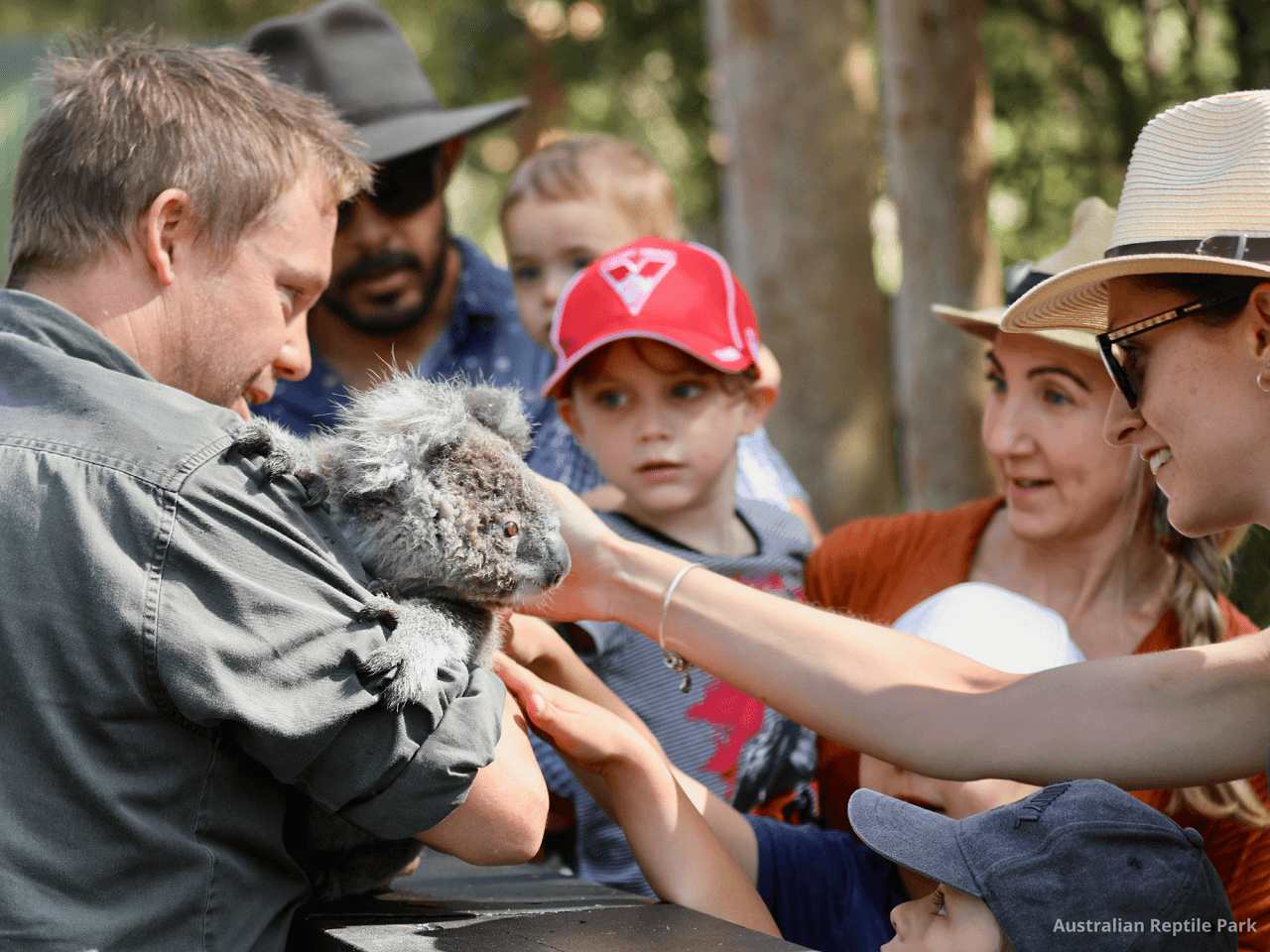 Australian Reptile Park – photo 44