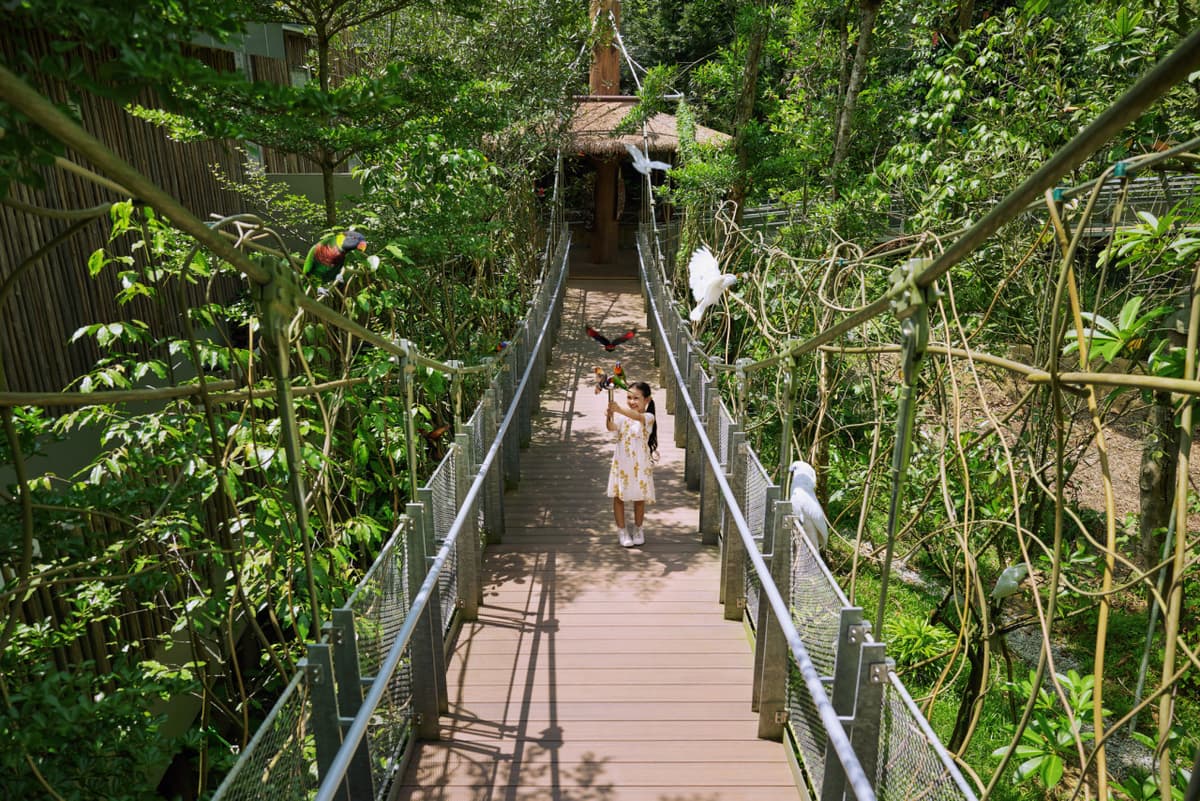 5-in-1 Day Pass: Night Safari + Singapore Zoo + Bird Paradise + River Wonders + Rainforest Asia