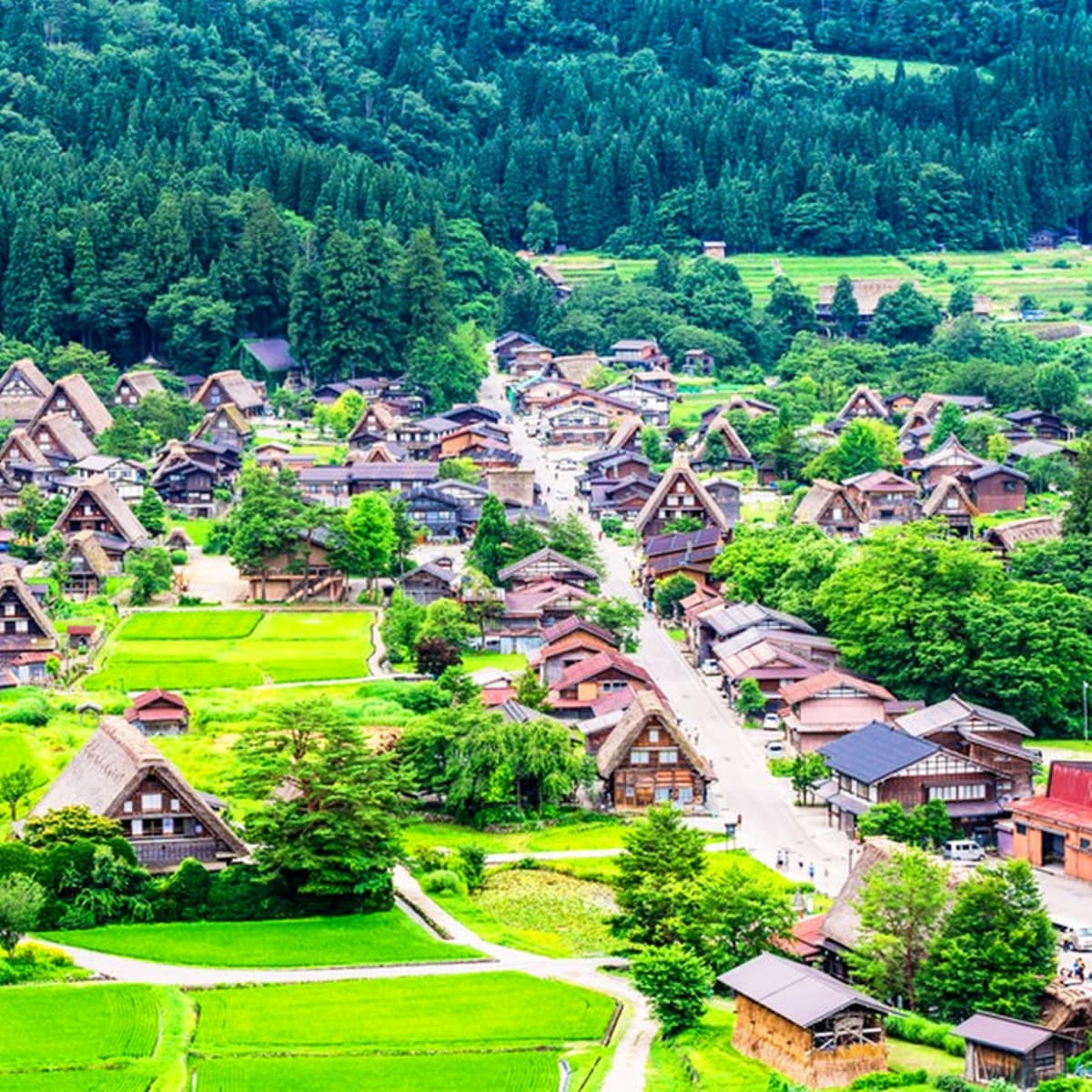 Takayama City and Shirakawa Gassho Village Full-Day Tour from Nagoya