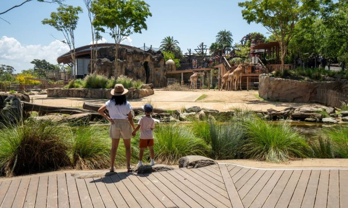 Taronga Zoo Ticket with Optional Round Trip Ferry