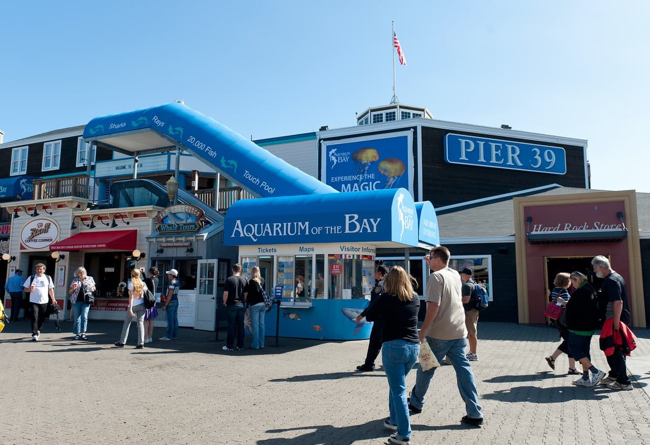 Aquarium of the Bay Ticket – photo 3