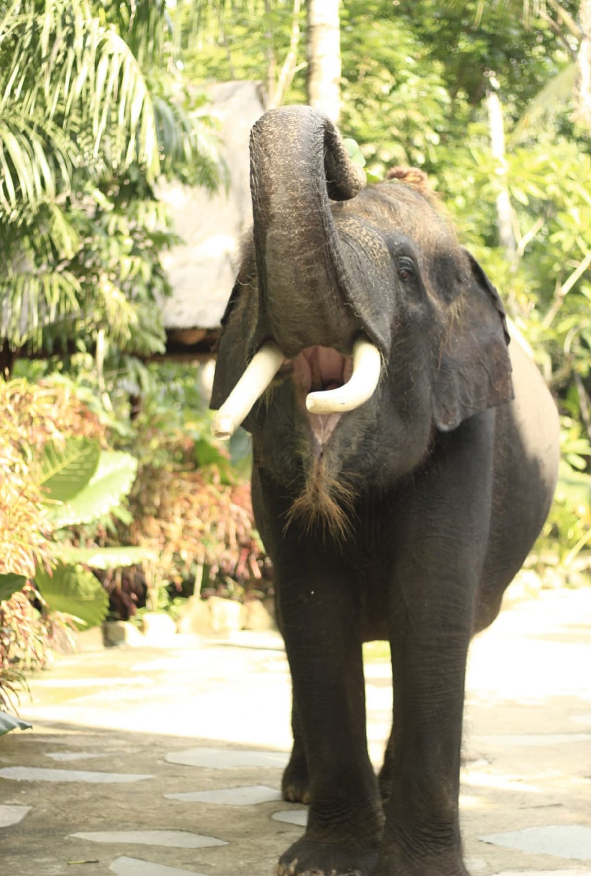 Lombok Wildlife Park