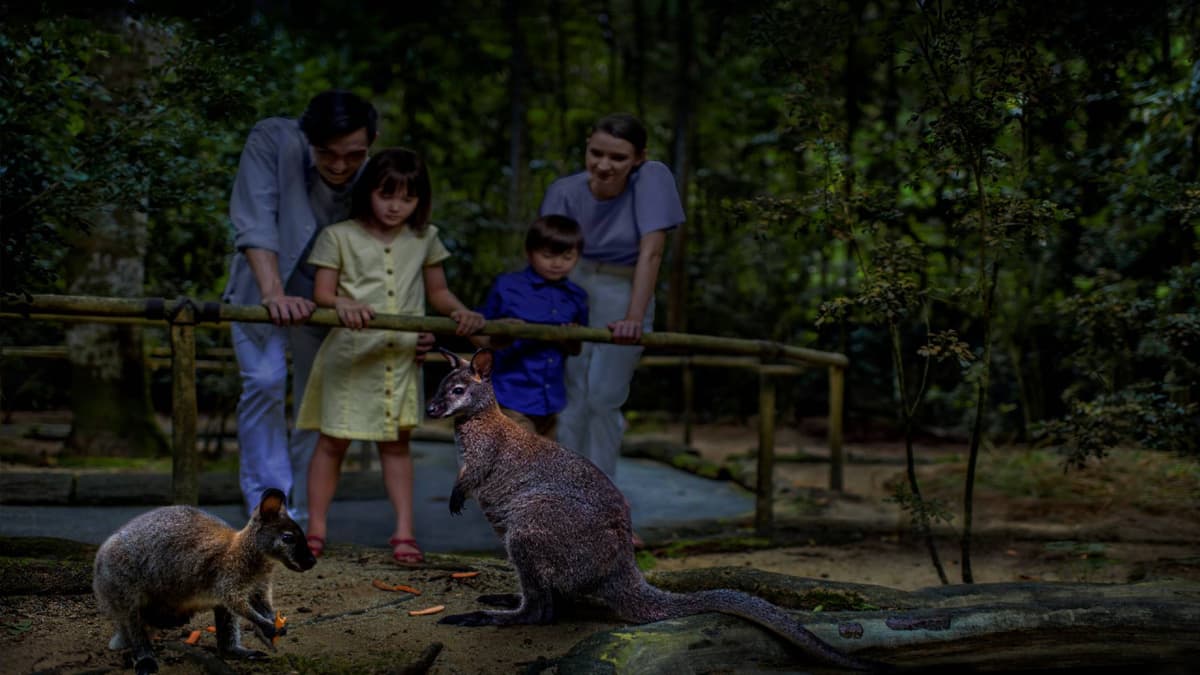 2-Park Destination Pass: Singapore Night Safari + Singapore Zoo Tickets