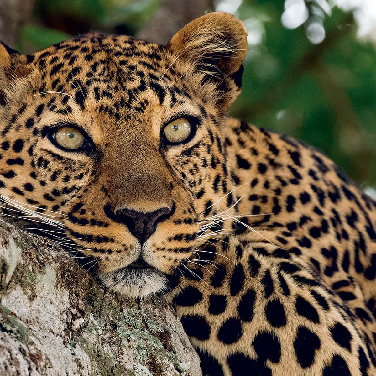 Zoo Aquarium Madrid