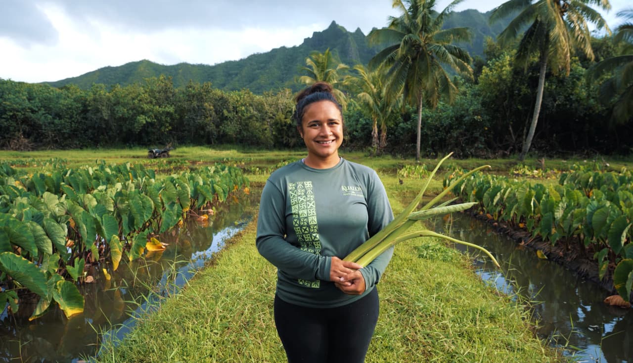 Go City Oahu Explorer Pass: Save up to 50% on Attractions – photo 48