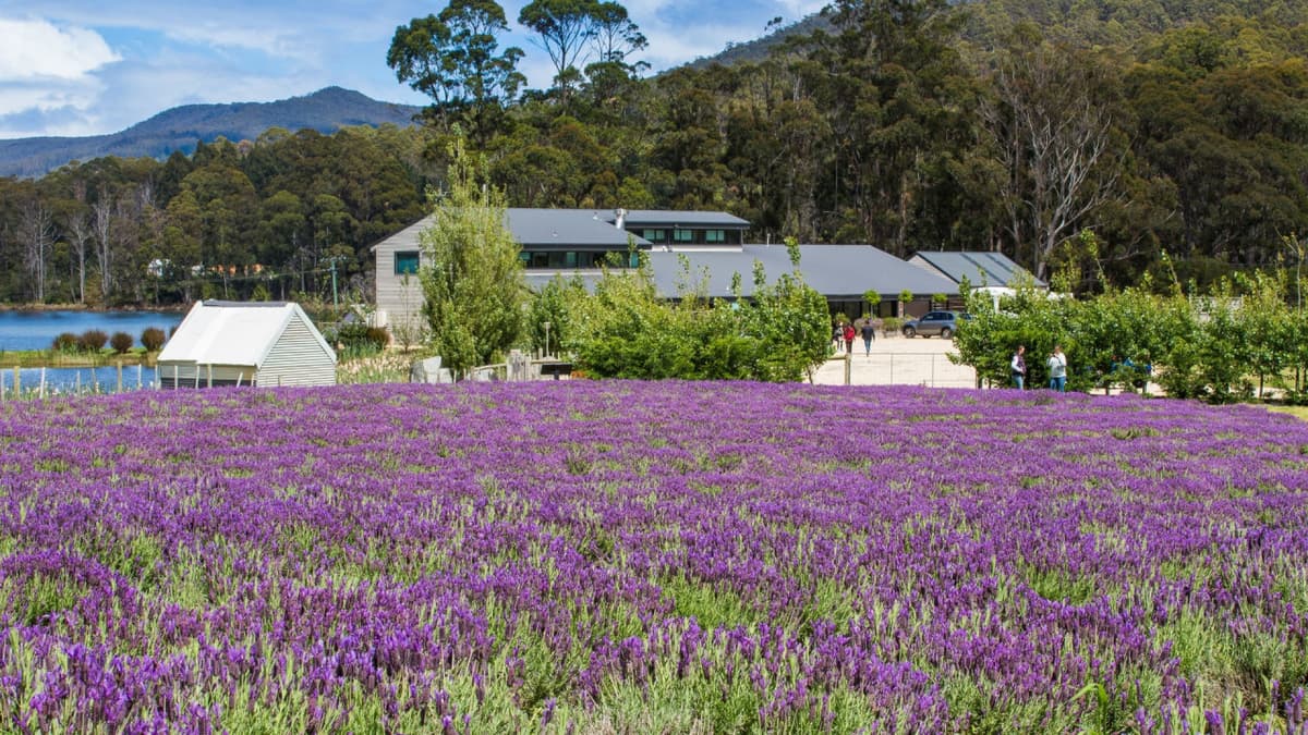 Port Arthur Historic Site & Tasman Peninsula Tour from Hobart