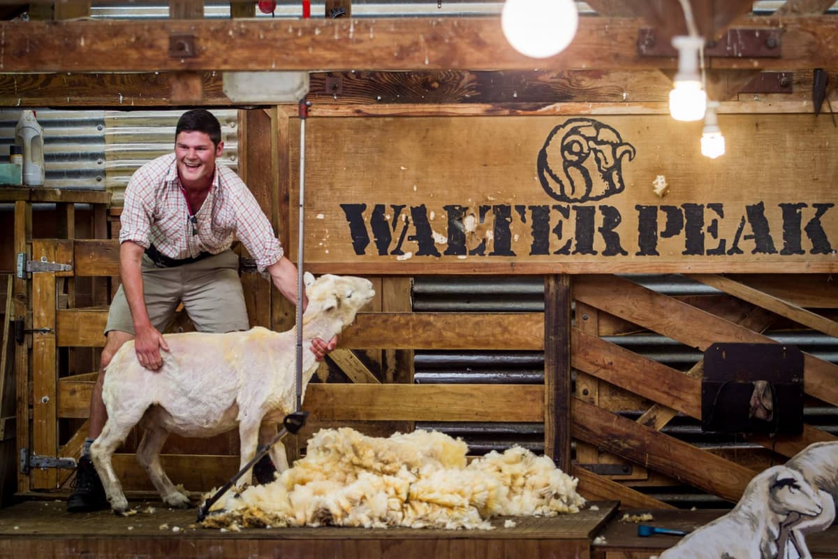 Walter Peak High Country Farm Tour