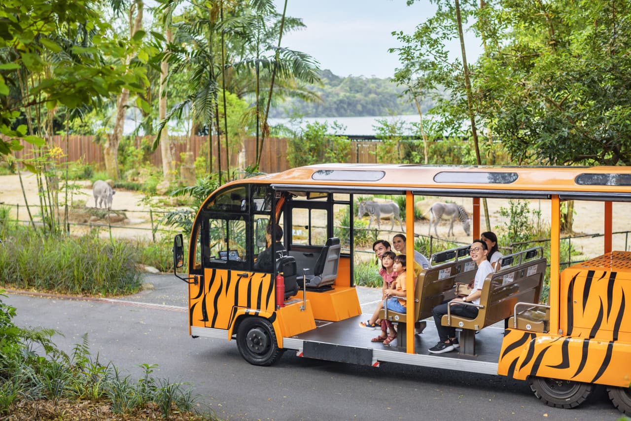 5-in-1 Day Pass: Night Safari + Singapore Zoo + Bird Paradise + River Wonders + Rainforest Asia – photo 19