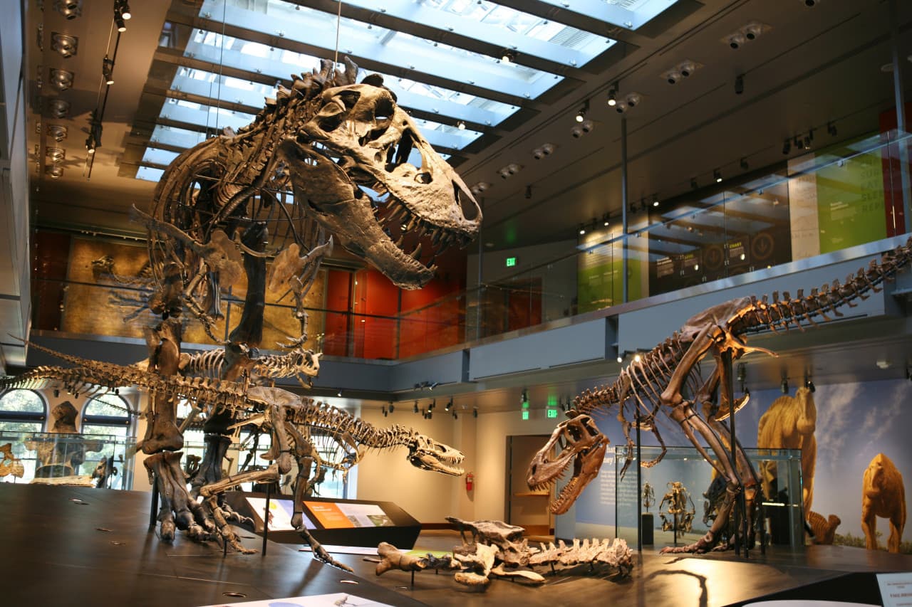 Go City Las Vegas Explorer Pass: Save up to 50% on Attractions – photo 39