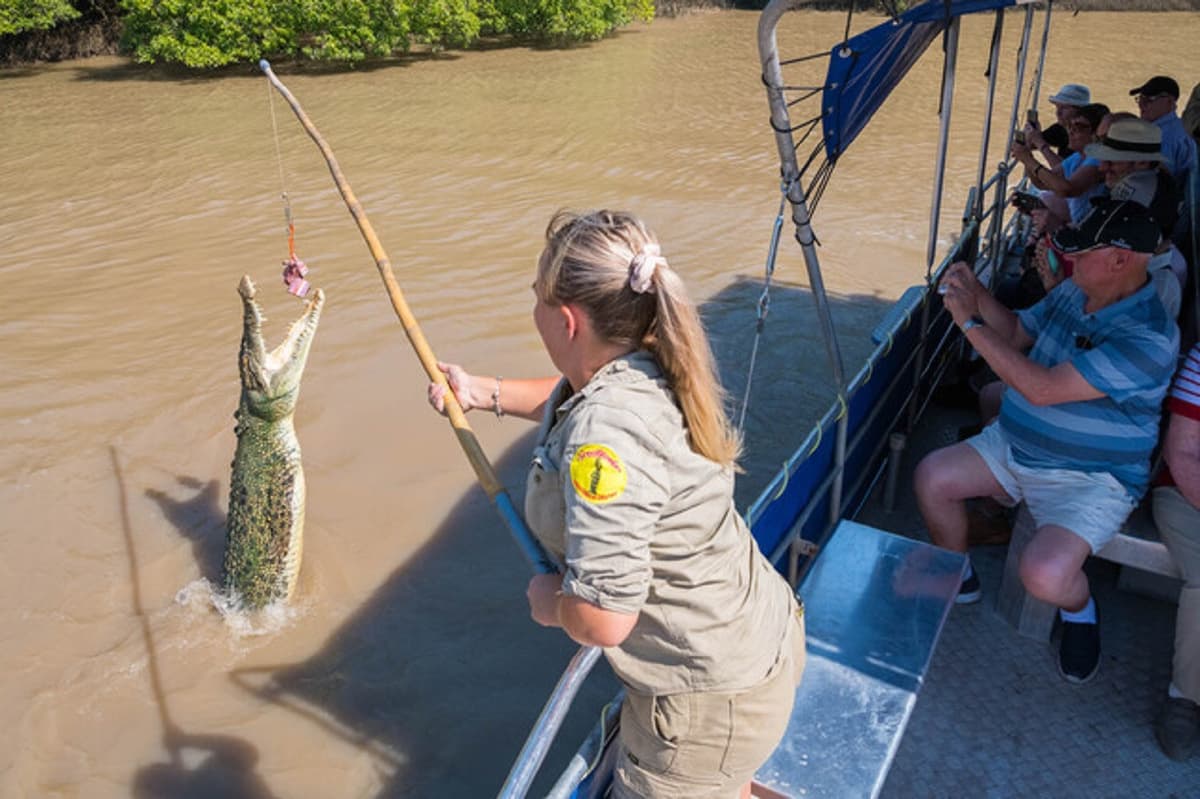 Spectacular Jumping Crocodile Cruise