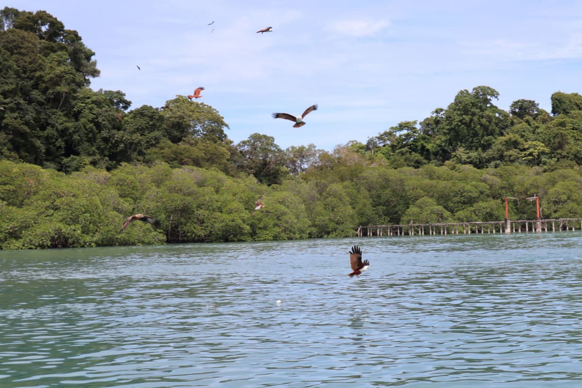 Langkawi Island Hopping Tour by Speedboat