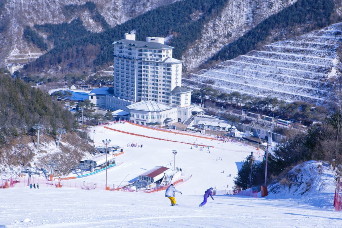 Elysian Gangchon Ski Resort and Nami Island Full-Day Tour from Seoul
