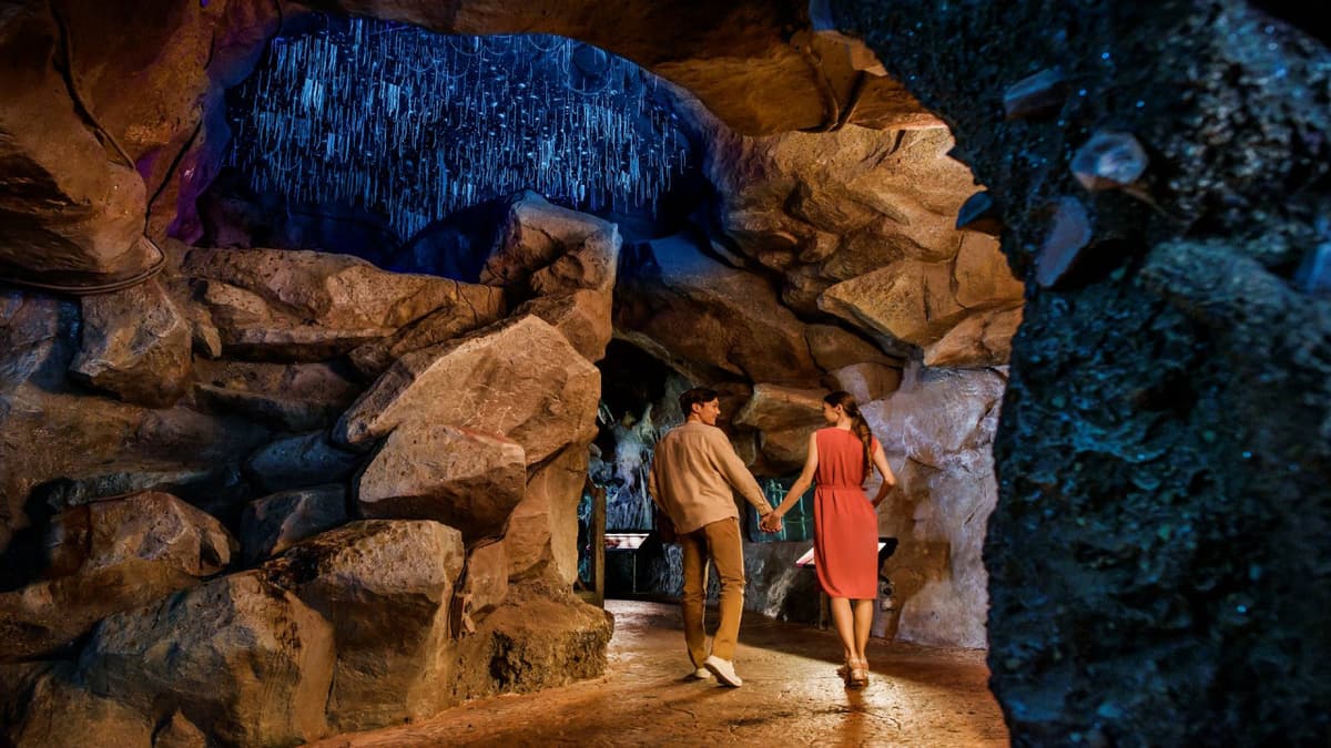 2-Park Destination Pass: Singapore Night Safari + Rainforest Wild Adventure Tickets