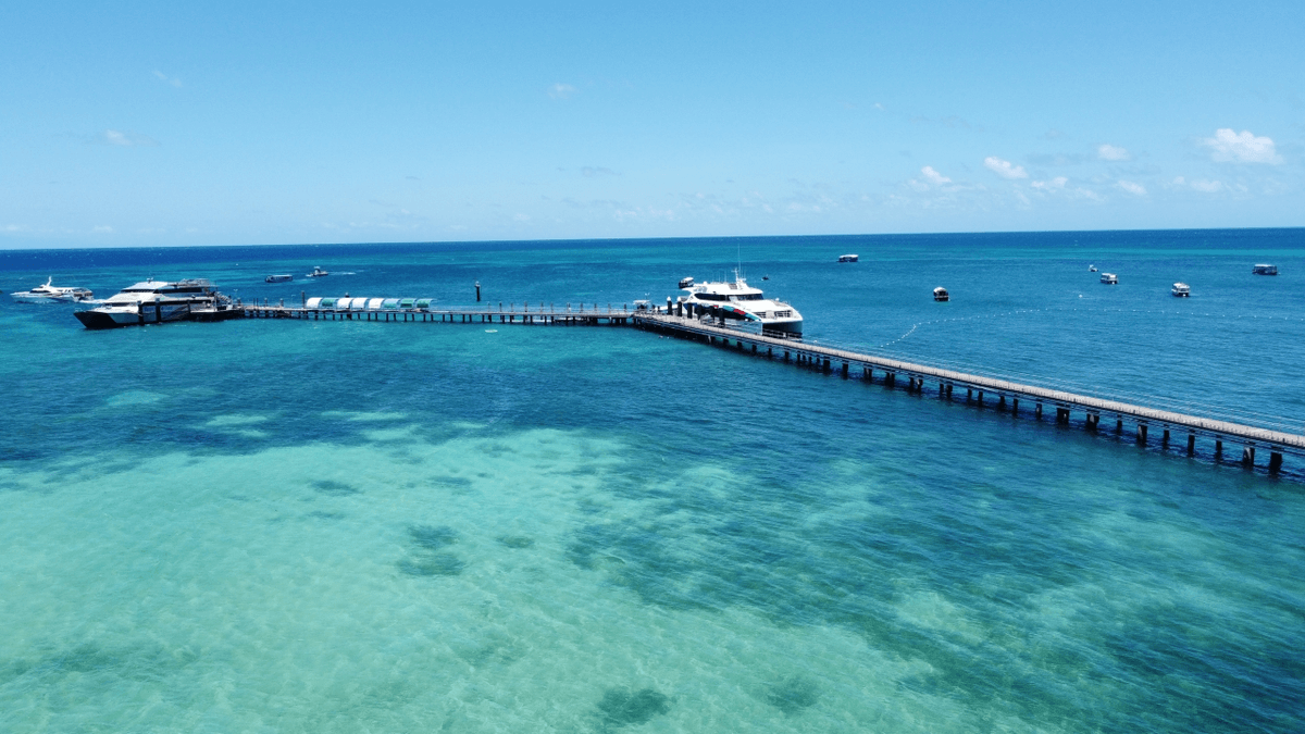 Green Island Reef Full-Day Cruise
