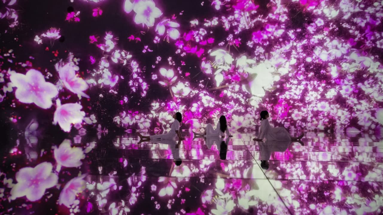 teamLab Planets TOKYO Ticket