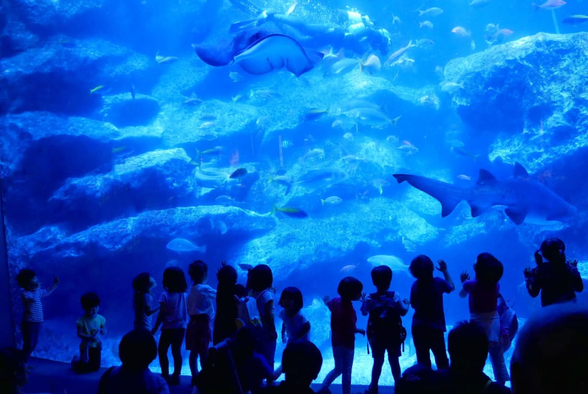 Sumida Aquarium Ticket