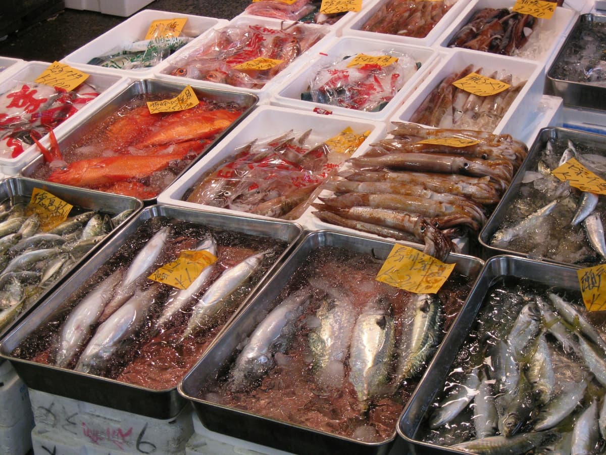 Tsukiji Outer Market Breakfast Tour