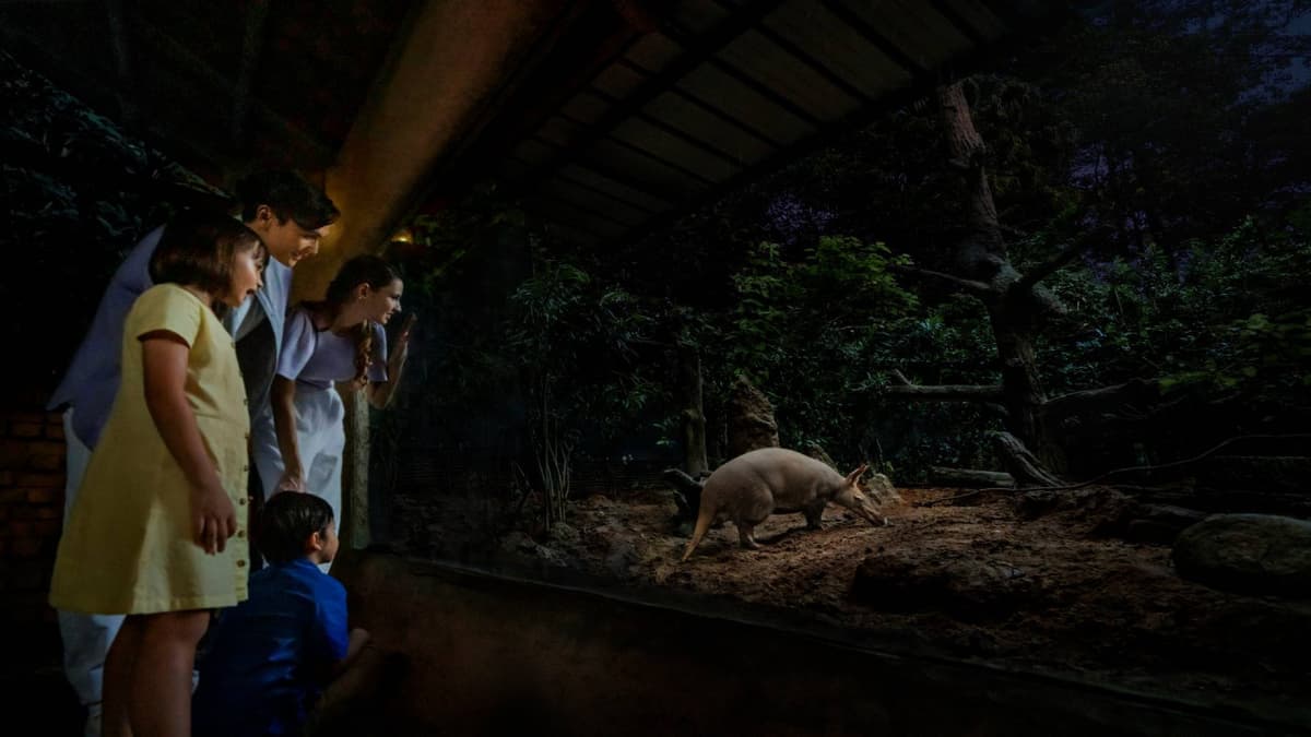 Singapore Night Safari Ticket