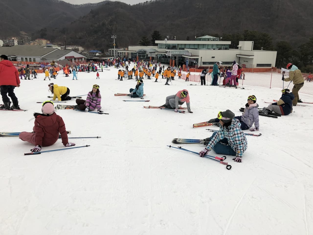 Jisan Forest Ski Resort Full-Day Tour from Seoul