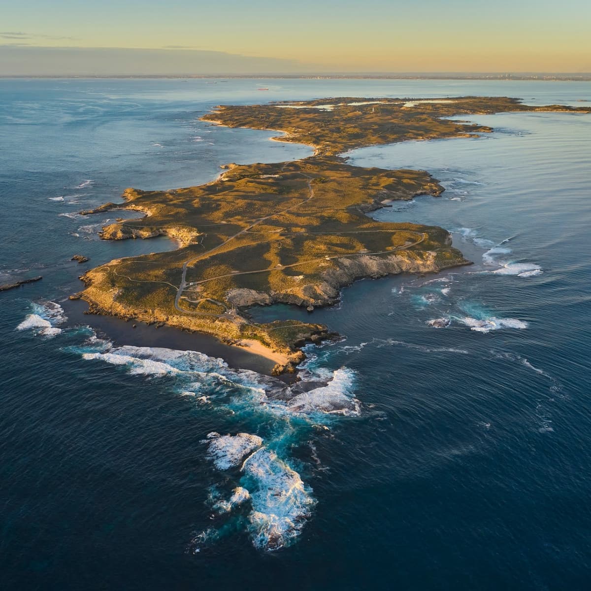 Rottnest Island Bayseeker Bus Tour with Round Trip SeaLink Ferry Transfer